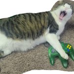 Video Game Cat