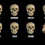 Xray Skulls Meme template
