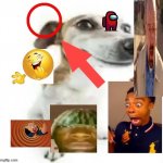 What the dog doin meme