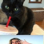 Cat drinking tea | MMMMMMM TEA; NOOO UR TO FAT TO BE BRITISH | image tagged in cat drinking tea | made w/ Imgflip meme maker