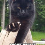 no hooman I am not marrying pancho funny black cat angry grumpy cat meme | NO HOOMAN I AM NOT 
MARRYING PANCHO THE 
PRINCE OF DARKNESS; I DON'T CARE IF HE CATCHES AND COOKS HIS OWN MICE! I WANT MY TUNA. FEED ME SLAVE! | image tagged in black cat claws pissed,black cat,grumpy cat,funny,meme,cats | made w/ Imgflip meme maker