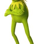 Angry Kermit The Frog