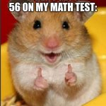 hide the pain hamster | WHEN I GET A 56 ON MY MATH TEST: | image tagged in hide the pain hamster | made w/ Imgflip meme maker