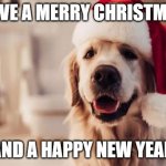 its the holiday time of year again | HAVE A MERRY CHRISTMAS; AND A HAPPY NEW YEAR | image tagged in wholsome,christmas,doggo | made w/ Imgflip meme maker