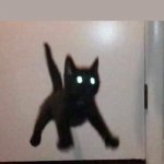 No wait mom slow down- AAAA | ME WHEN MY MOM HITS A SPEEDBUMP IN THE CAR: | image tagged in startled black kitten | made w/ Imgflip meme maker