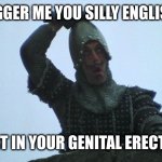 When the English pikemen penetrate the French rear guard | BUGGER ME YOU SILLY ENGLISH? I FART IN YOUR GENITAL ERECTION! | image tagged in fart in your general direction | made w/ Imgflip meme maker