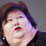 Health Minister De Block fat politician vaccine meme