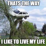 steve | THATS THE WAY; I LIKE TO LIVE MY LIFE | image tagged in car in tree | made w/ Imgflip meme maker