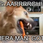 go and get it!! | DOG: AARRRRGH!!!!!!! CAMERA MAN: GOT-YA | image tagged in funny memes,random,funny,dogs,funny dogs,weird | made w/ Imgflip meme maker
