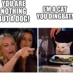 Woman Argues With Cat | YOU ARE NOTHING BUT A DOG! I'M A CAT YOU DINGBAT! | image tagged in woman argues with cat | made w/ Imgflip meme maker