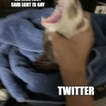 Haha dont cancel me | ME WHO JUST SAID LGBT IS GAY; TWITTER | image tagged in ferret getting choked,funny | made w/ Imgflip meme maker