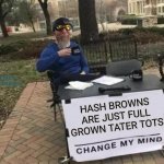 hash browns tater tots | YOU'VE BEEN STORMFEATHERED; HASH BROWNS ARE JUST FULL GROWN TATER TOTS | image tagged in change my boomer | made w/ Imgflip meme maker