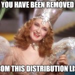 For the REPLY-ALL dumbasses who REPLY-ALL asking to be removed | YOU HAVE BEEN REMOVED; FROM THIS DISTRIBUTION LIST | image tagged in glinda the good witch | made w/ Imgflip meme maker