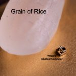 Grain Of Rice | Grain of Rice; World's Smallest Computer; Brain of a Roblox Admin | image tagged in grain of rice,roblox,memes,roblox meme | made w/ Imgflip meme maker