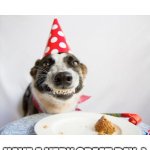 im 16 btw | ITS MY BDAY FELLOW MEMERS HAVE A VERY GREAT DAY :) | image tagged in birthday dog,happy | made w/ Imgflip meme maker