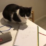 Numbers cat Meme Generator - Imgflip