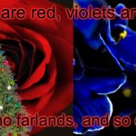 Merry Cristmaddd!!!!!1!1!1!1!!1! | Roses are red, violets are blue, i have no farlands, and so do you! | image tagged in roses are red violets are blue,christmas,farlands | made w/ Imgflip meme maker