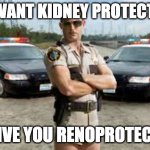 Kidney protection | YOU WANT KIDNEY PROTECTION? I'LL GIVE YOU RENOPROTECTION | image tagged in reno 911,medical,humor,kidney,pun | made w/ Imgflip meme maker