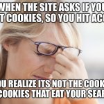 mad | WHEN THE SITE ASKS IF YOU WANT COOKIES, SO YOU HIT ACCEPT. THEN YOU REALIZE ITS NOT THE COOKIES YOU EAT, ITS THE COOKIES THAT EAT YOUR SEARCH HISTORY | image tagged in annoyed | made w/ Imgflip meme maker