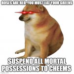 cheems | ROSES ARE RED, YOU MUST EAT YOUR GREENS SUSPEND ALL MORTAL POSSESSIONS TO CHEEMS | image tagged in cheems | made w/ Imgflip meme maker