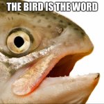 everyone know's about the word | THE BIRD IS THE WORD | image tagged in statement salmon | made w/ Imgflip meme maker