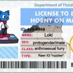 Loki license