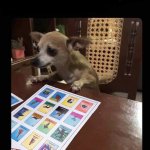 Lotería