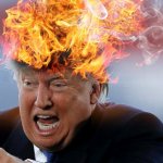 Trump hair on fire liar narcissist infantile angry meme