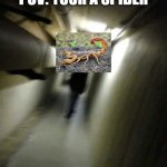 Only Bug Fans would understand this. | POV: YOUR A SPIDER | image tagged in shadow man chasing,spider,memes,scorpion,animals,bugs | made w/ Imgflip meme maker