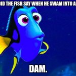 Bad Memory Fish | WHAT DID THE FISH SAY WHEN HE SWAM INTO A WALL? DAM. | image tagged in bad memory fish | made w/ Imgflip meme maker