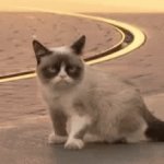 Fk u | FK U | image tagged in gifs,grumpy cat | made w/ Imgflip video-to-gif maker