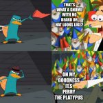 An ordinary Platypus? | THAT'S WHAT A GNOME WITH NO BEARD OR HAT LOOKS LIKE? OH MY GOODNESS IT,S PERRY THE PLATYPUS | image tagged in an ordinary platypus | made w/ Imgflip meme maker