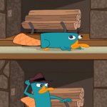 Perry the Platypus | DOOF BE LIKE: 
AN ORDINARY PLATYPUS; PERRY THE PLATYPUS!!! | image tagged in perry the platypus | made w/ Imgflip meme maker