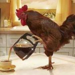 Chicken coffee morning template