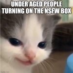 Hehe cat | UNDER AGED PEOPLE TURNING ON THE NSFW BOX | image tagged in hehe cat | made w/ Imgflip meme maker