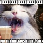 Cat Yelling | I IS YELL WEEEEEEEEEEEEEEEEEEEEEEEEEEEEEEEE; CAN YOU FIND THE DREAMS THERE ARE 4 DREAMS | image tagged in cat yelling | made w/ Imgflip meme maker