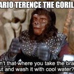 Mario as the Gorilla