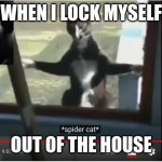 it happens alot | WHEN I LOCK MYSELF; OUT OF THE HOUSE | image tagged in creepy cat at window | made w/ Imgflip meme maker