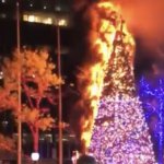 Fox News Holiday Tree