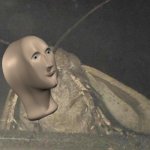 moff | MOFF | image tagged in moth,meme man | made w/ Imgflip meme maker