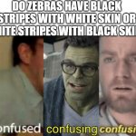 I guess we will never know | DO ZEBRAS HAVE BLACK STRIPES WITH WHITE SKIN OR WHITE STRIPES WITH BLACK SKIN? | image tagged in confused confusing confusion | made w/ Imgflip meme maker