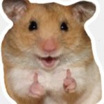 HappyHamster