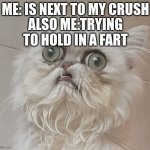 Fart | ME: IS NEXT TO MY CRUSH; ALSO ME:TRYING TO HOLD IN A FART | image tagged in wilfred warrior the cat,meem | made w/ Imgflip meme maker