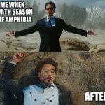 Tony Stark Before and After | ME WHEN I WATH SEASON 2 OF AMPHIBIA; AFTER | image tagged in before after tony stark,oh god why | made w/ Imgflip meme maker