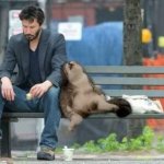 Keanu and Cat