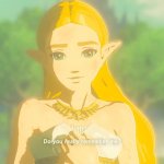 Zelda do you really remember me? meme