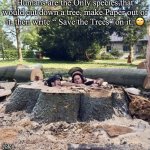 Making paper from trees | Humans are the Only species that would cut down a tree, make Paper out of it, then write “ Save the Trees” on it. 🙄; Yates | image tagged in chopped tree | made w/ Imgflip meme maker