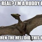 Pterodactyls | I'M NOT REAL? I'M A RUDDY DRONE? WELL, WHEN THE HELL DID THIS HAPPEN? | image tagged in pterodactyls | made w/ Imgflip meme maker
