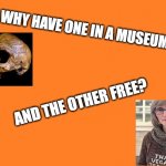 that vegan teacher | WHY HAVE ONE IN A MUSEUM; AND THE OTHER FREE? | image tagged in orange meme | made w/ Imgflip meme maker