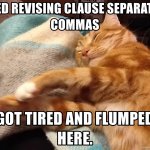 Sleepy grammar cat